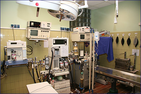 AniCura Tiergesundheitszentrum Mönchengladbach-Venn unter M. Gladbach, Nordrhein-Westfalen