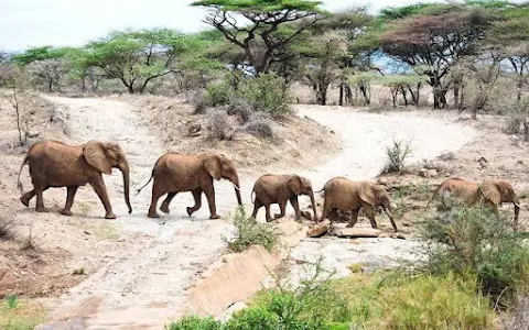 Katavi National Park image