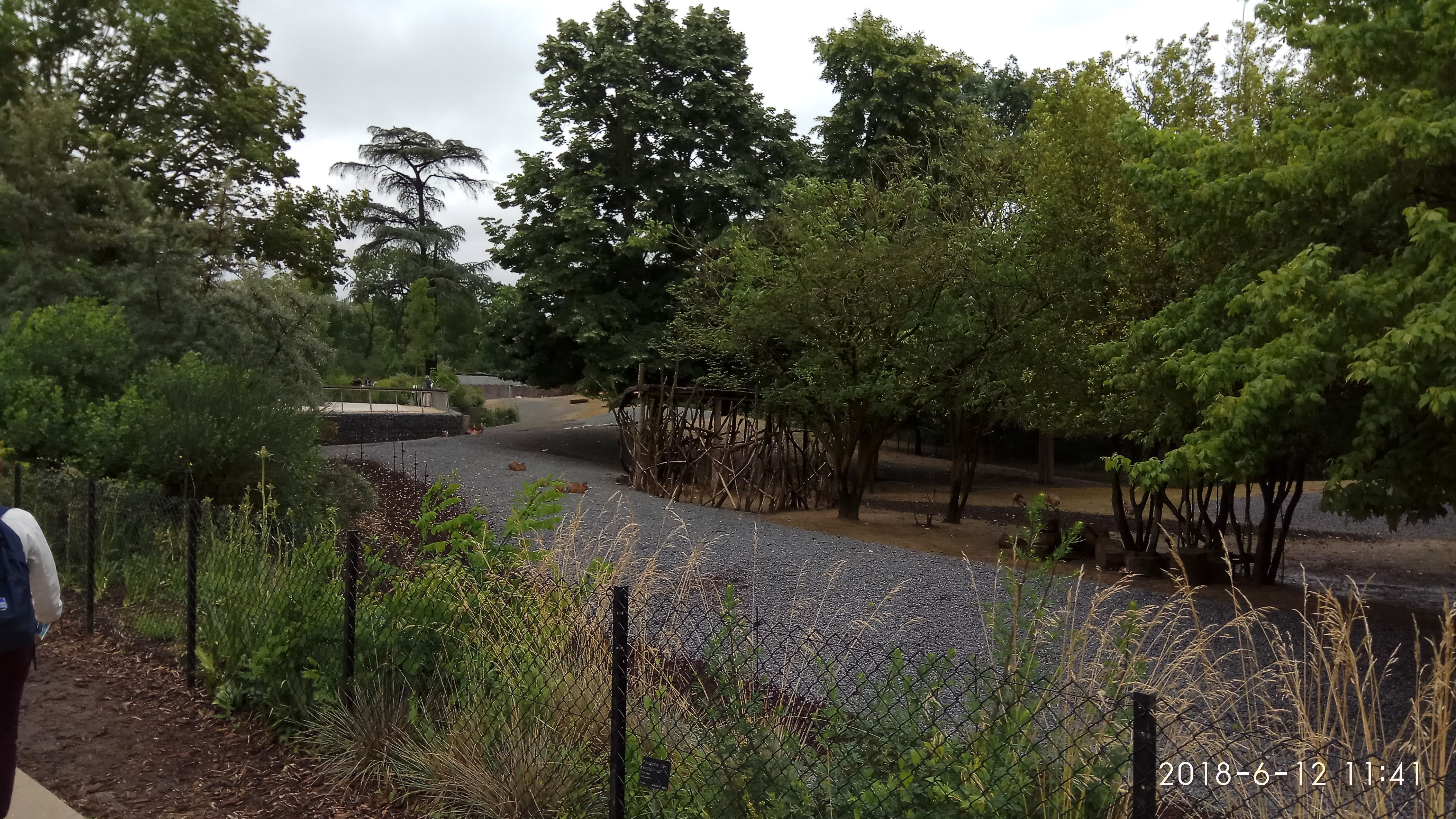 Photo n° 47 de l'avis de Swiss.e fait le 15/06/2018 à 19:24