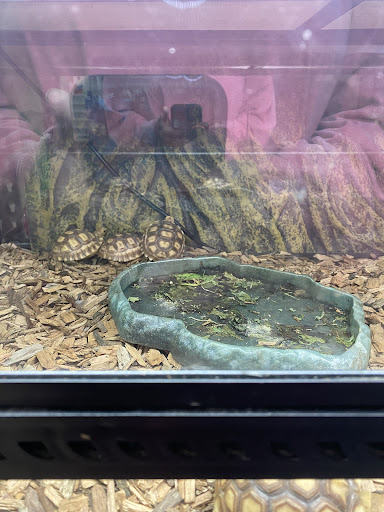 Pet Supply Store «Coastline Pet Supply», reviews and photos, 3530 Northgate Dr, Myrtle Beach, SC 29588, USA