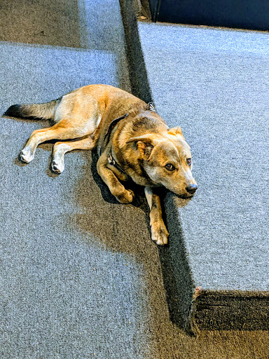 Tobacco Shop «Herb -N- Legend Smoke Shop», reviews and photos, 3624 Washington Ave, Houston, TX 77007, USA