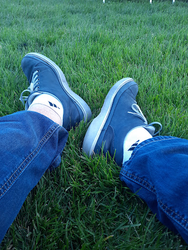 Live Music Venue «Concord Pavilion», reviews and photos, 2000 Kirker Pass Rd, Concord, CA 94521, USA