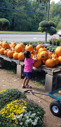 Florist «The Growth Co.», reviews and photos, 167 Hazard Ave, Enfield, CT 06082, USA