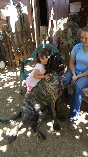 Sightseeing Tour Agency «Salt Lake City Tours», reviews and photos, 369 900 S #400, Salt Lake City, UT 84111, USA