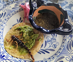 Antigua Hacienda de Tlalpan photo