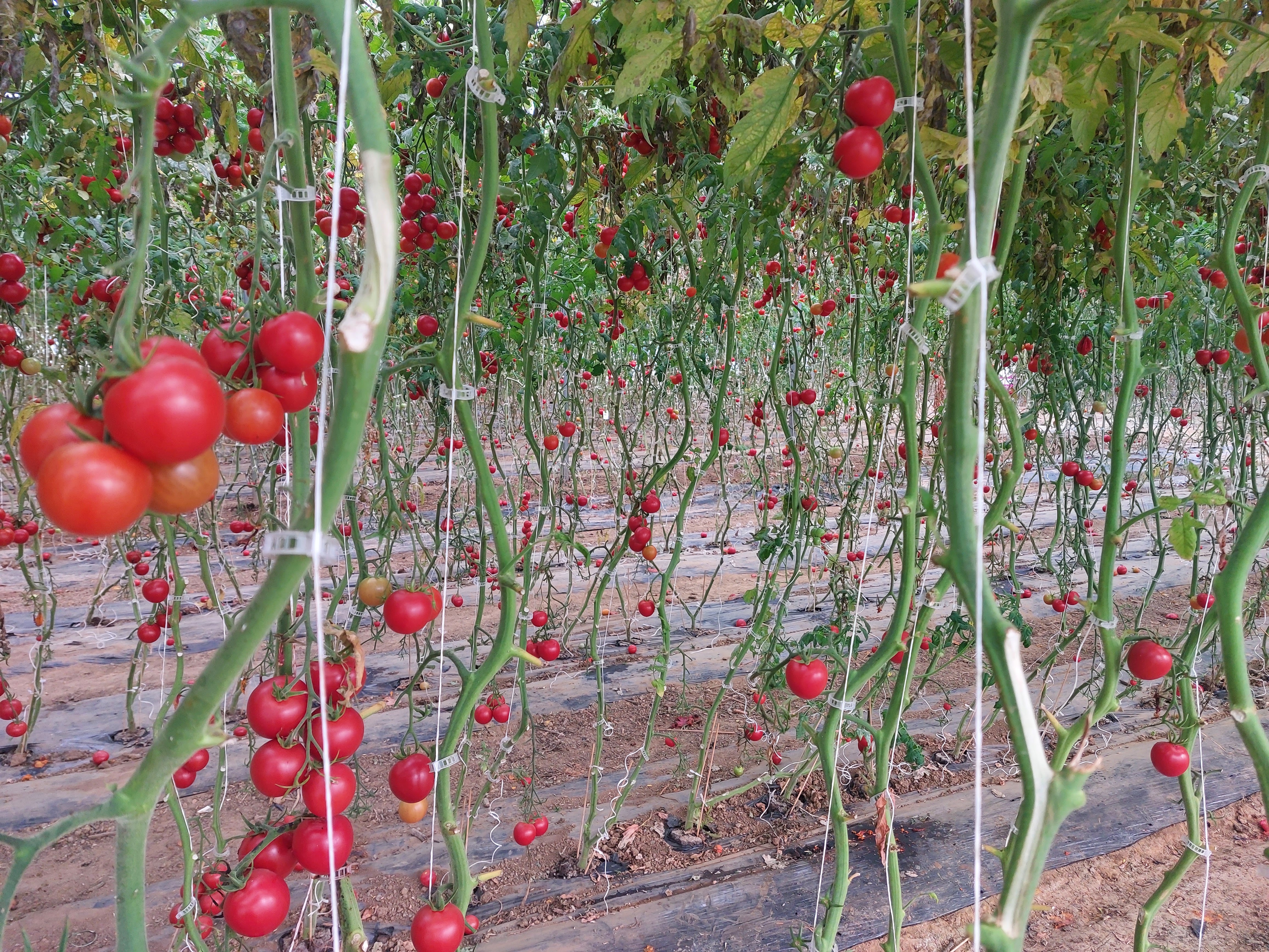 Photo n° 1 de l'avis de myriam.o fait le 09/11/2022 à 18:43
