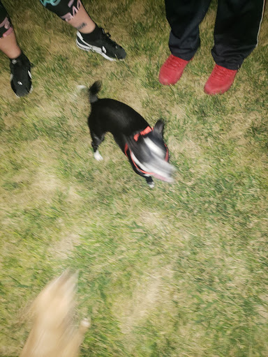 Park «Mountain Crest Park», reviews and photos, 4701 N Durango Dr, Las Vegas, NV 89129, USA