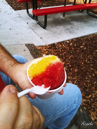 Ice Cream Shop «Twistee Treat», reviews and photos, 7449 Laredo Dr, Hudson, FL 34667, USA