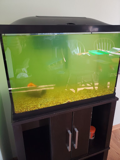 Pet Store «Forest Lake Pets», reviews and photos, 120 Lake St N, Forest Lake, MN 55025, USA