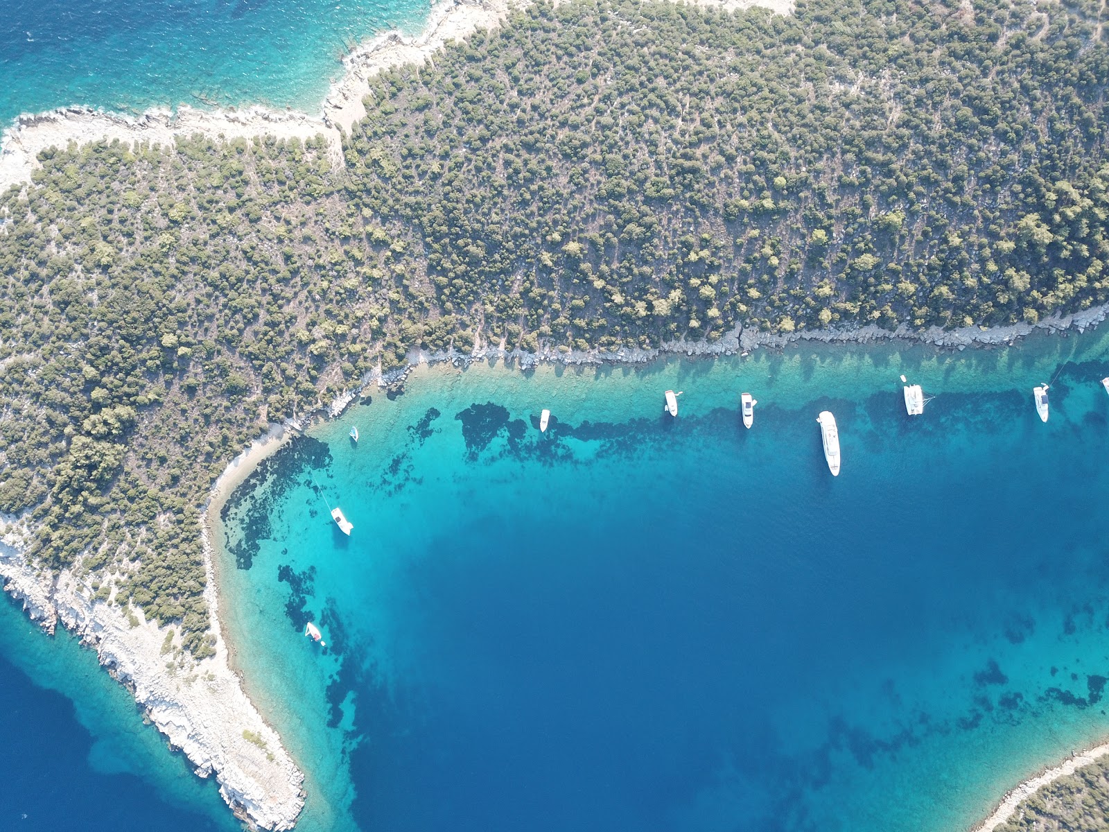 Bodrum Resort II'in fotoğrafı turkuaz saf su yüzey ile