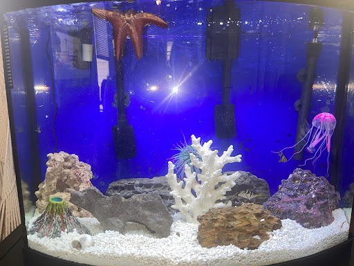 Pet Supply Store «Petco Animal Supplies», reviews and photos, 1680 Campbell Ln, Bowling Green, KY 42104, USA