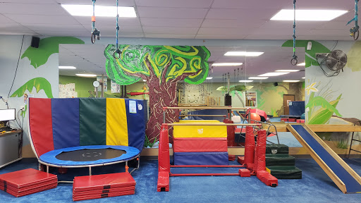 Gymnastics Center «My Gym», reviews and photos, 3287 Industry Dr, Signal Hill, CA 90755, USA