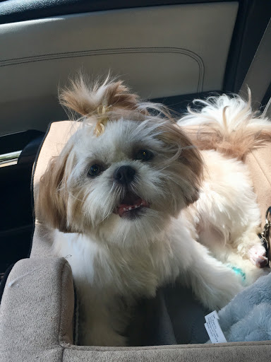 Pet Supply Store «Petco Animal Supplies», reviews and photos, 7303 Pinnacle Pkwy, Covington, LA 70433, USA