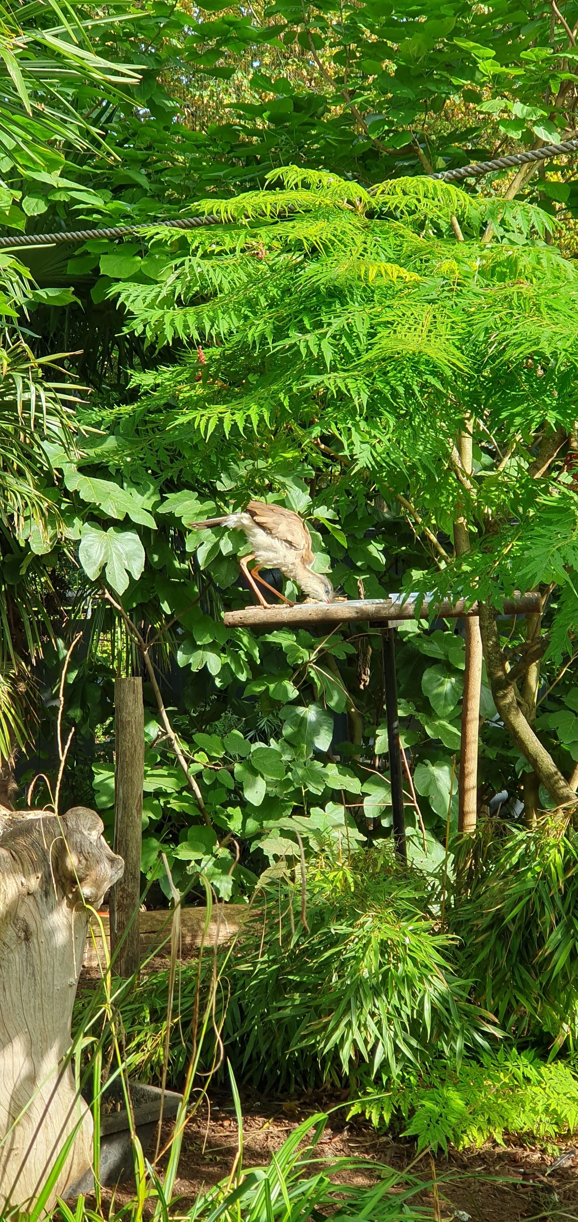 Photo n° 3 de l'avis de Mélanie.i fait le 30/09/2023 à 21:21