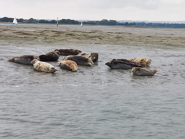 Reviews of Chichester Harbour Water Tours Ltd in Worthing - Travel Agency