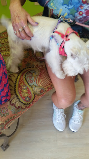 Pet Store «Happy, Clean and Smart», reviews and photos, 5700 W Kilgore Ave, Muncie, IN 47304, USA