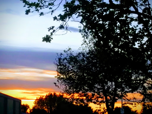 Supermarket «FoodMaxx», reviews and photos, 6000 Lindhurst Ave, Marysville, CA 95901, USA