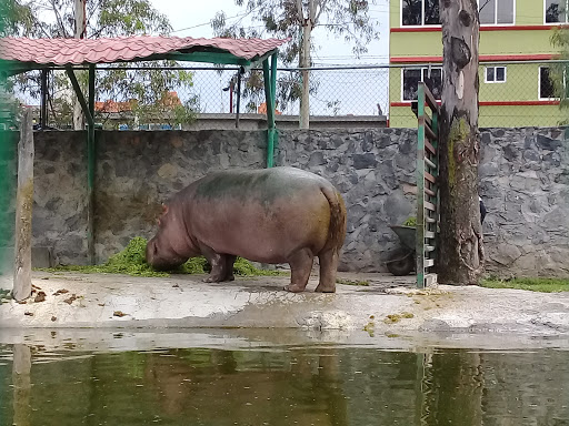 Zoológico Parque del Pueblo