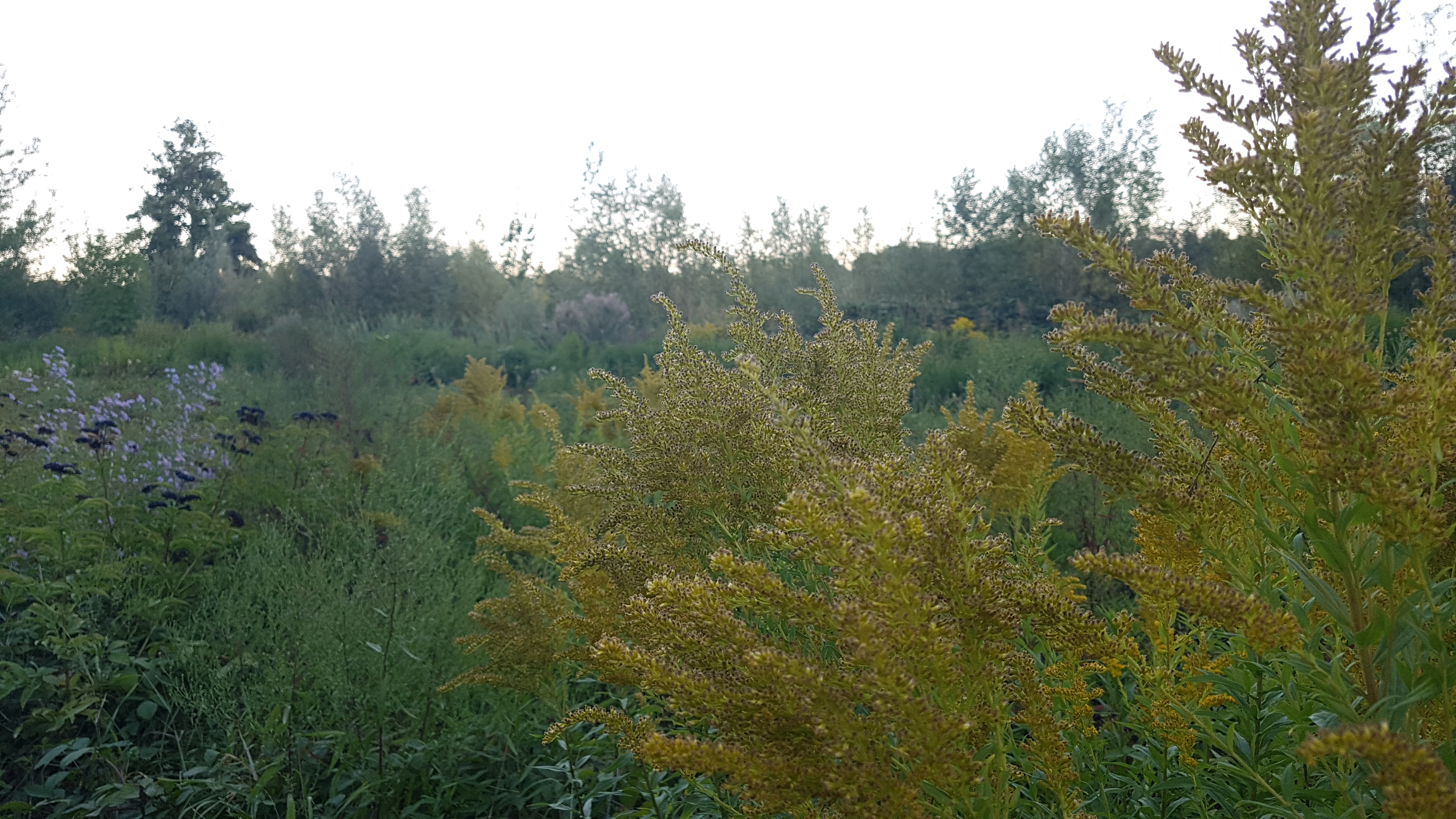 Photo n° 2 de l'avis de Sanjy.u fait le 20/09/2019 à 13:45