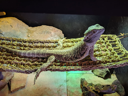 Pet Supply Store «Pet Supplies Plus», reviews and photos, 345 Willow Bend, Crystal, MN 55428, USA