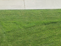 The Landscape Company - Photo 2 - Car repair in Spokane Valley, WA, Spokane