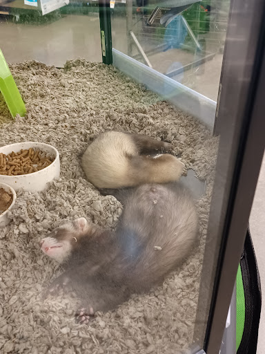 Pet Supply Store «Petco Animal Supplies», reviews and photos, 18200 NW Evergreen Pkwy, Beaverton, OR 97006, USA