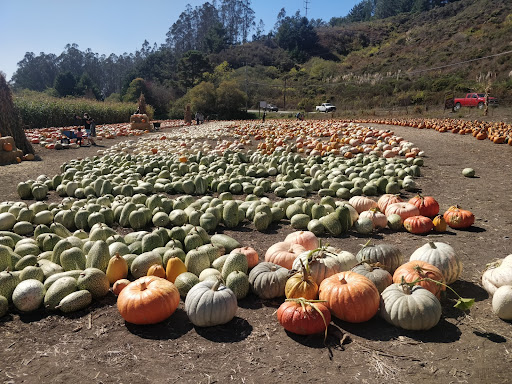 Garden Center «Repetto Florist and Nursery», reviews and photos, 12331 San Mateo Rd, Half Moon Bay, CA 94019, USA