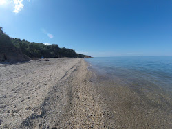 Photo de Rakopotamos naturist beach avec un niveau de propreté de très propre