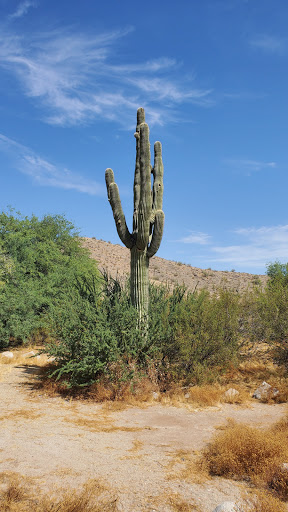 Golf Course «Arizona Grand Golf Course», reviews and photos, 8000 Arizona Grand Pkwy, Phoenix, AZ 85044, USA