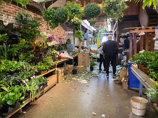 Florist «Brattle Square Florist», reviews and photos, 31 Brattle St, Cambridge, MA 02138, USA