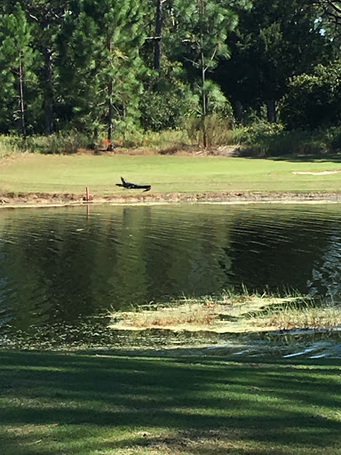 Golf Club «St. James Bay Golf Club», reviews and photos, 151 Laughing Gull Ln, Carrabelle, FL 32322, USA