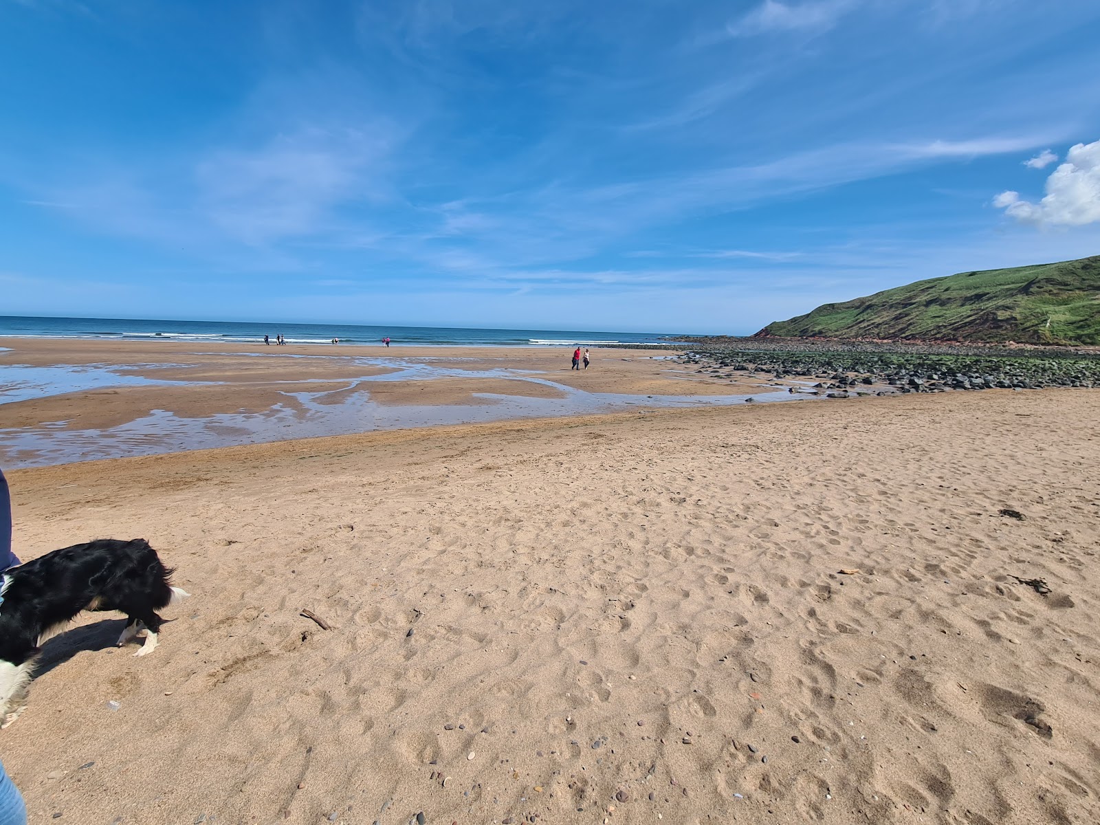 Photo de Pease Bay Leisure Park avec l'eau cristalline de surface