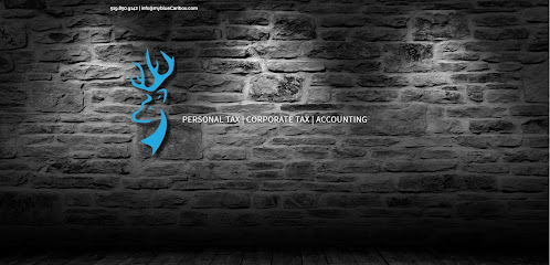 blueCaribou Chartered Accountants