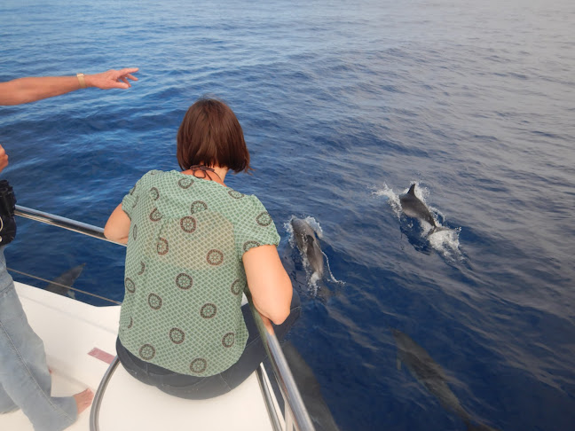 Comentários e avaliações sobre o VipDolphins Catamaran Whale Watching