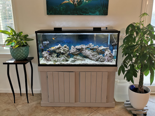 Aquarium «Atlantic Blue Aquariums», reviews and photos, 801 Northlake Blvd, North Palm Beach, FL 33408, USA
