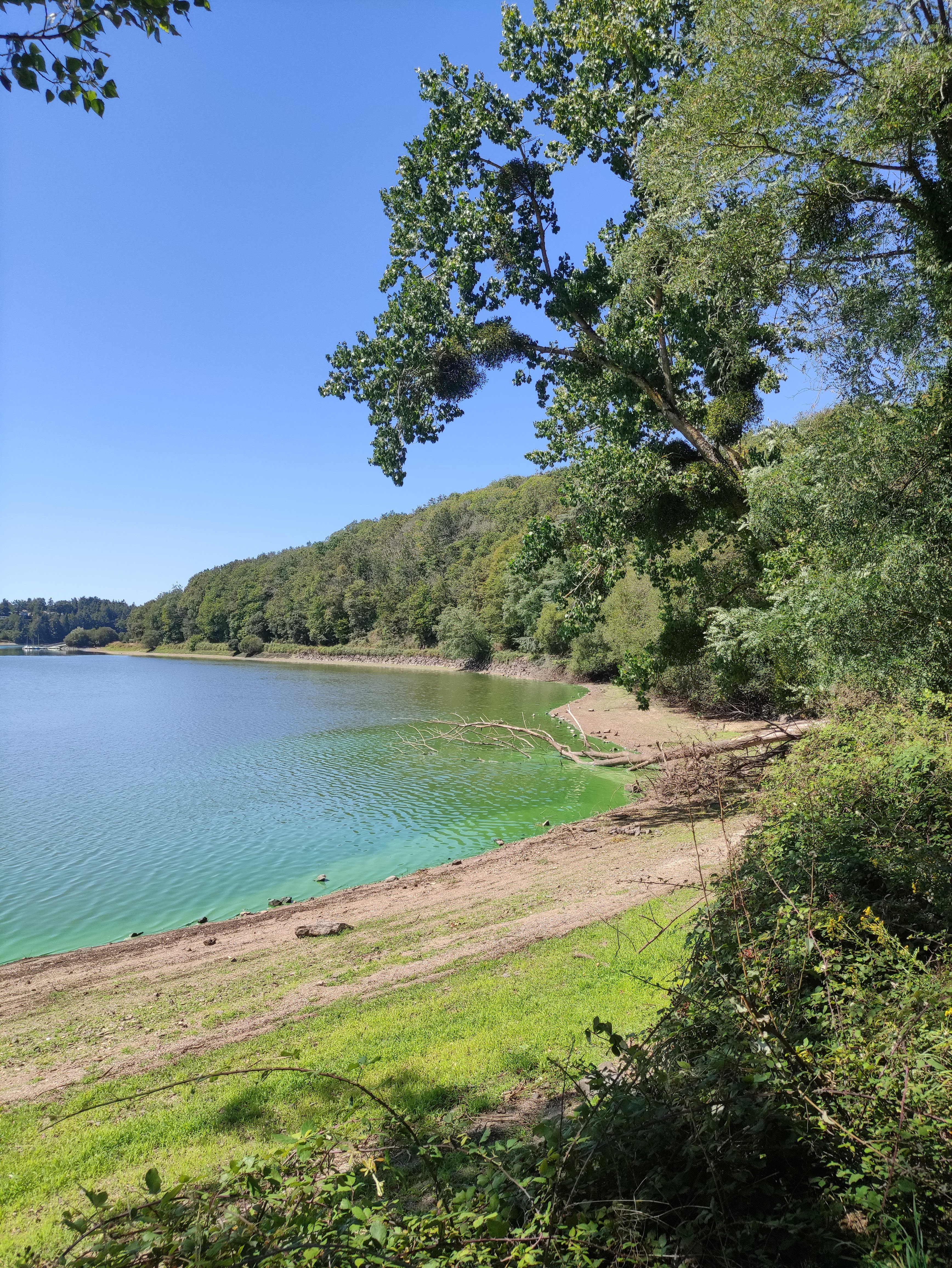Photo n° 4 de l'avis de Guillaume.e fait le 15/08/2023 à 12:09
