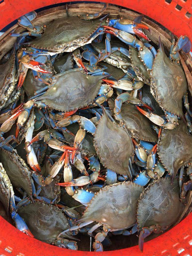 Auto Body Shop «Jones Body Shop & Collision Center», reviews and photos, 1713 Harford Rd #2, Fallston, MD 21047, USA