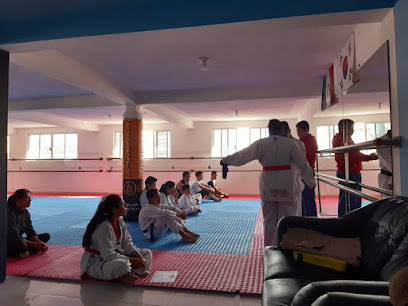 Esparta Taekwondo - C. Olcacatzan Mz 455-LT 5, Hojalateros, 56366 Chimalhuacán, Méx., Mexico