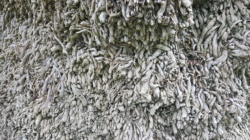 Park «Neff Park», reviews and photos, 14300 San Cristobal Dr, La Mirada, CA 90638, USA