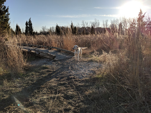 Dog Park «Beck Lake Off-Leash Dog Area», reviews and photos, 9700 Gloria Ct, Glenview, IL 60025, USA