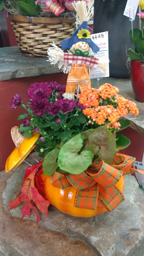 Florist «Stadium Flowers», reviews and photos, 20728 WA-99, Lynnwood, WA 98036, USA