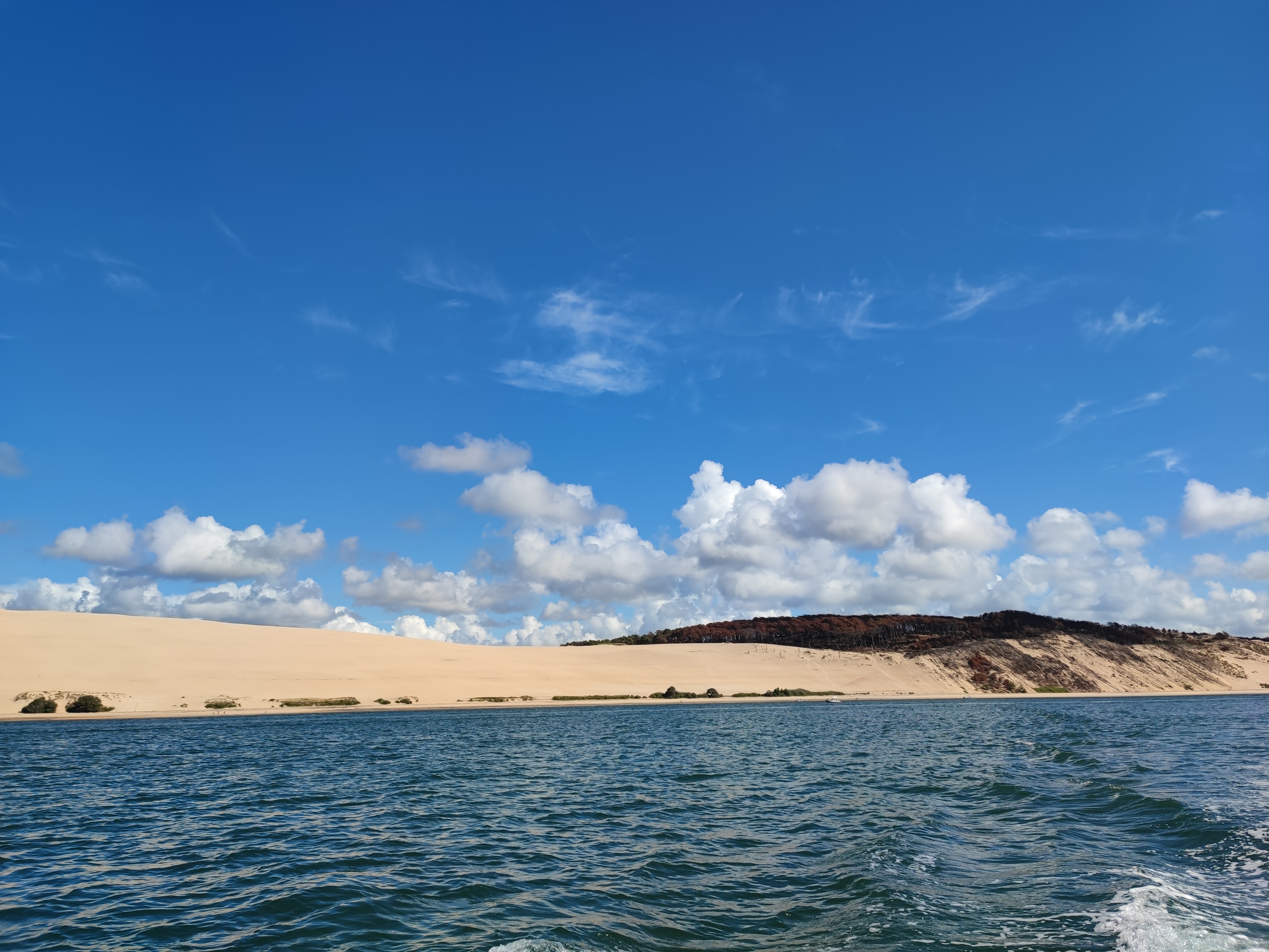 Photo n° 1 de l'avis de Marine. fait le 17/08/2022 à 17:26