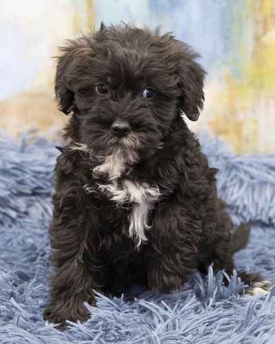 Pet Store «Pet Express», reviews and photos, 100 Independence Way, Danvers, MA 01923, USA