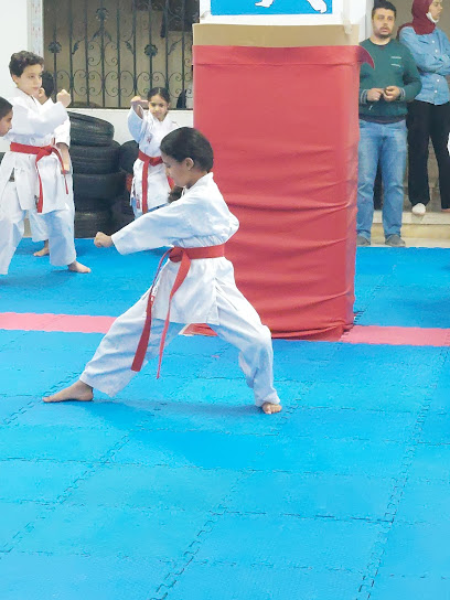 Aspire Karate Academy اكاديمية اسباير للكاراتيه