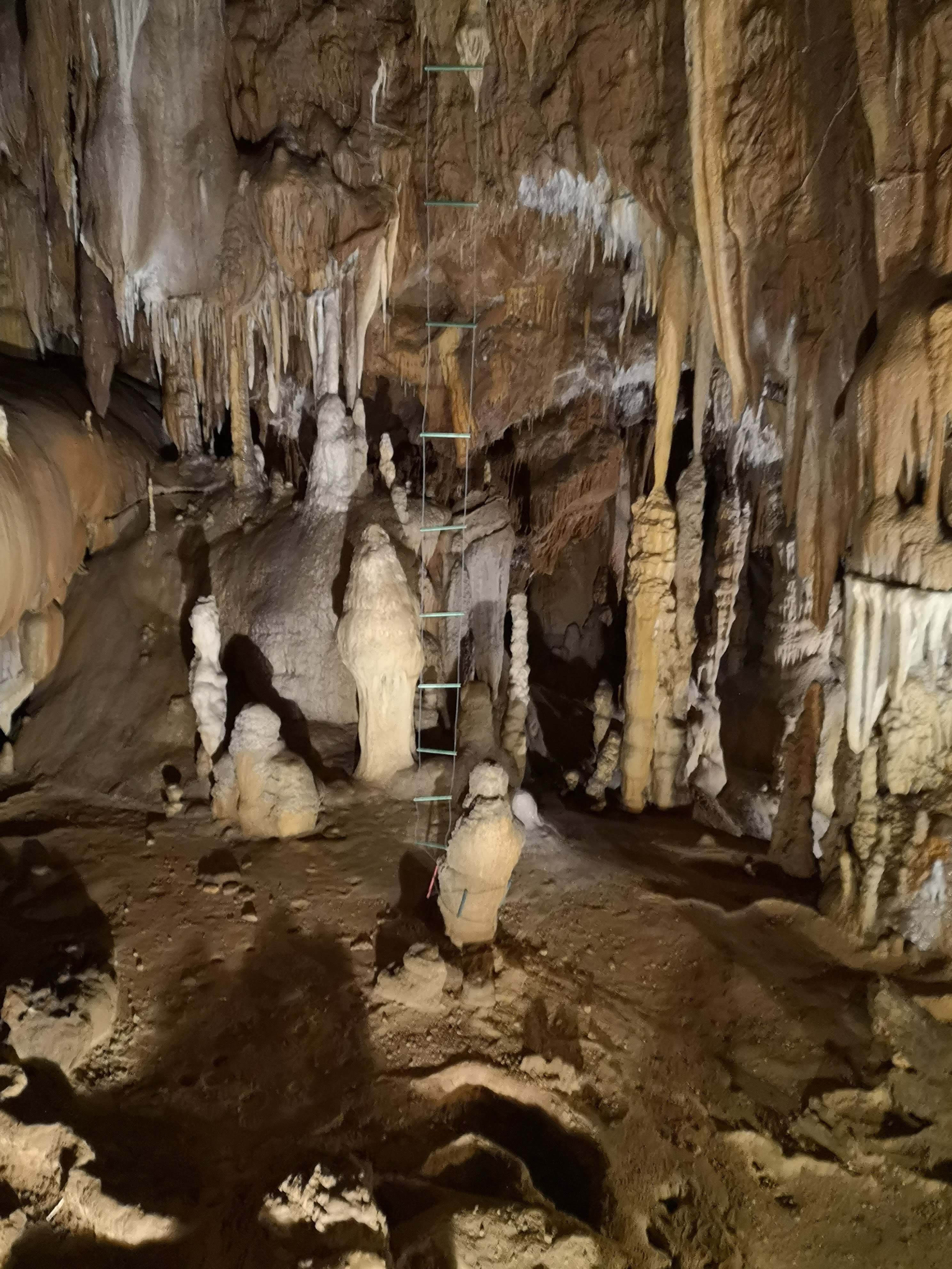Photo n° 12 de l'avis de Grazziella.e fait le 27/08/2019 à 12:35