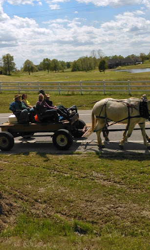 Golf Club «Coopers Hawk Golf Club», reviews and photos, AR-69 Spur, Melbourne, AR 72556, USA
