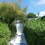 Photo n°19 de l'avis de Giuseppe.p fait le 31/08/2023 à 06:37 sur le  Lido Puerto Escondido à San Nicola Arcella