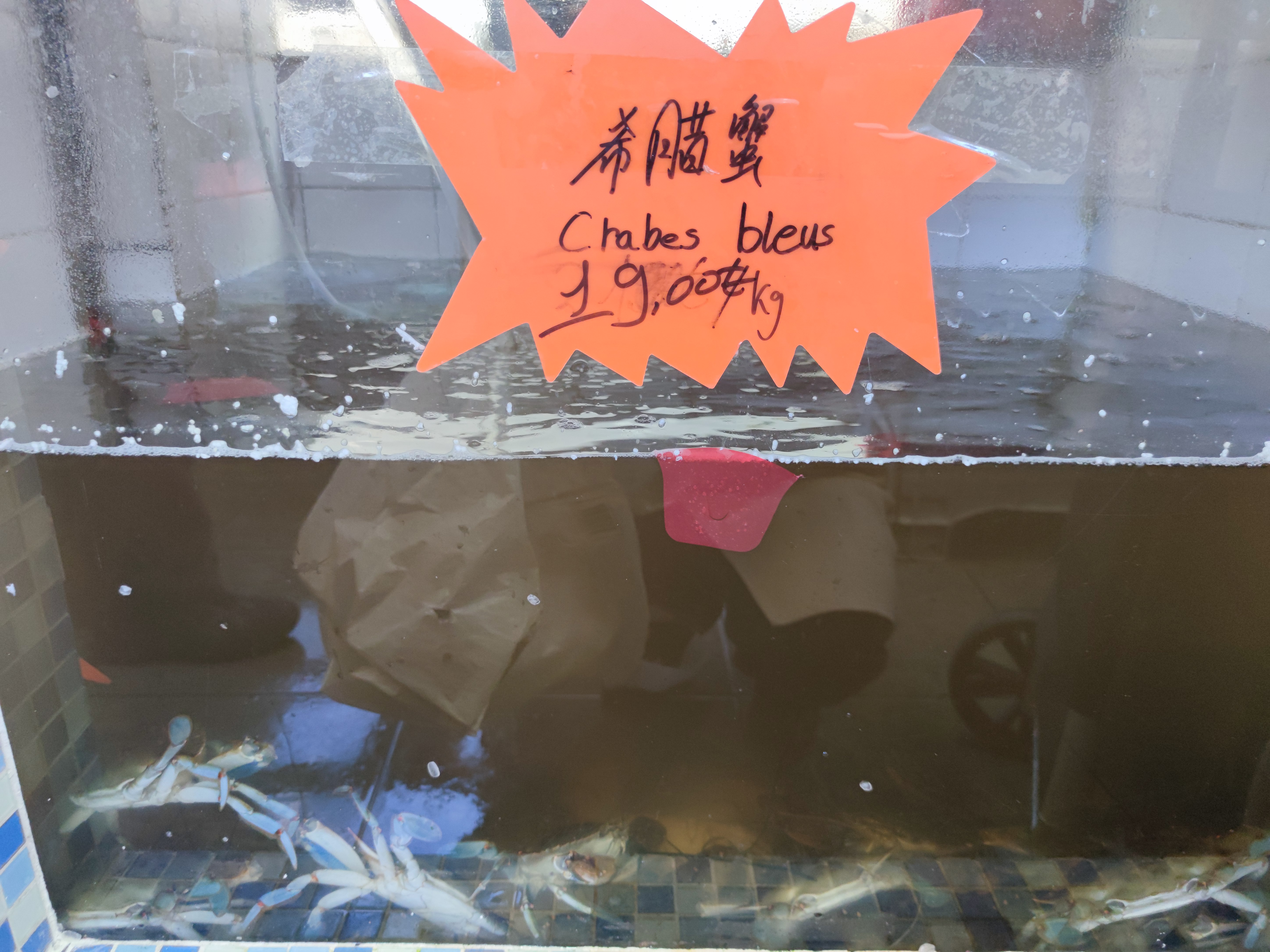 Photo n° 2 de l'avis de Qiling. fait le 29/10/2021 à 20:18