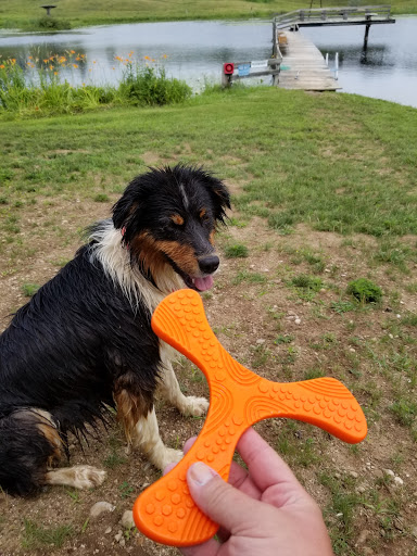 Pet Store «Animal Outfitters», reviews and photos, 661 S Military Rd, Fond du Lac, WI 54935, USA