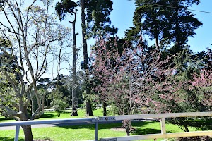 WorldMark San Francisco - photo 44